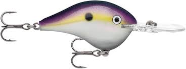 Rapala DT Crankbait 4 to 6