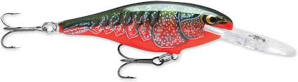Rapala Shad Rap