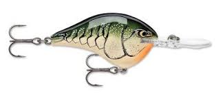 Rapala DT Crankbait 8 to 10
