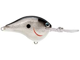 Rapala DT Crankbait 8 to 10