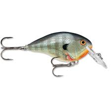 Rapala DT Crankbait 4 to 6