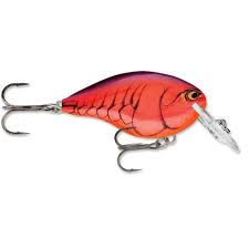 Rapala DT Crankbait 4 to 6
