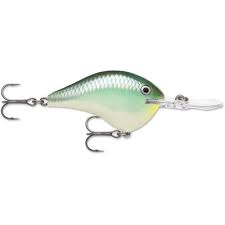 Rapala DT Crankbait 8 to 10