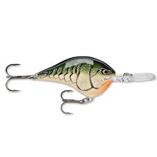 Rapala DT Crankbait 4 to 6
