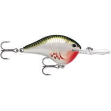 Rapala DT Crankbait 8 to 10