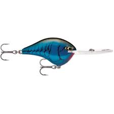 Rapala DT Crankbait 4 to 6