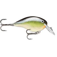 Rapala DT Crankbait 4 to 6