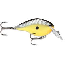 Rapala DT Crankbait 4 to 6