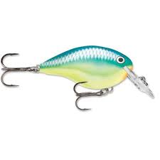 Rapala DT Crankbait 4 to 6