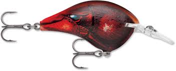 Rapala DT Crankbait 4 to 6