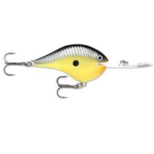 Rapala DT Crankbait 8 to 10
