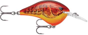 Rapala DT Crankbait 8 to 10
