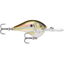 Rapala DT Crankbait 4 to 6